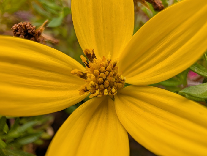 ... und das Pixel 10 Pro. (Bild: Tobias Költzsch/Golem)